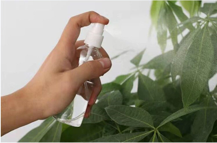 100ml 120ml 355ml πλαστικό βίδα καπάκι ακροφύσιο αντλία ψεκαστήρα μπουκάλι κατοικίδιων ζώων απολυμαντικό χεριών σπρέι μπουκάλι κατασκευαστής